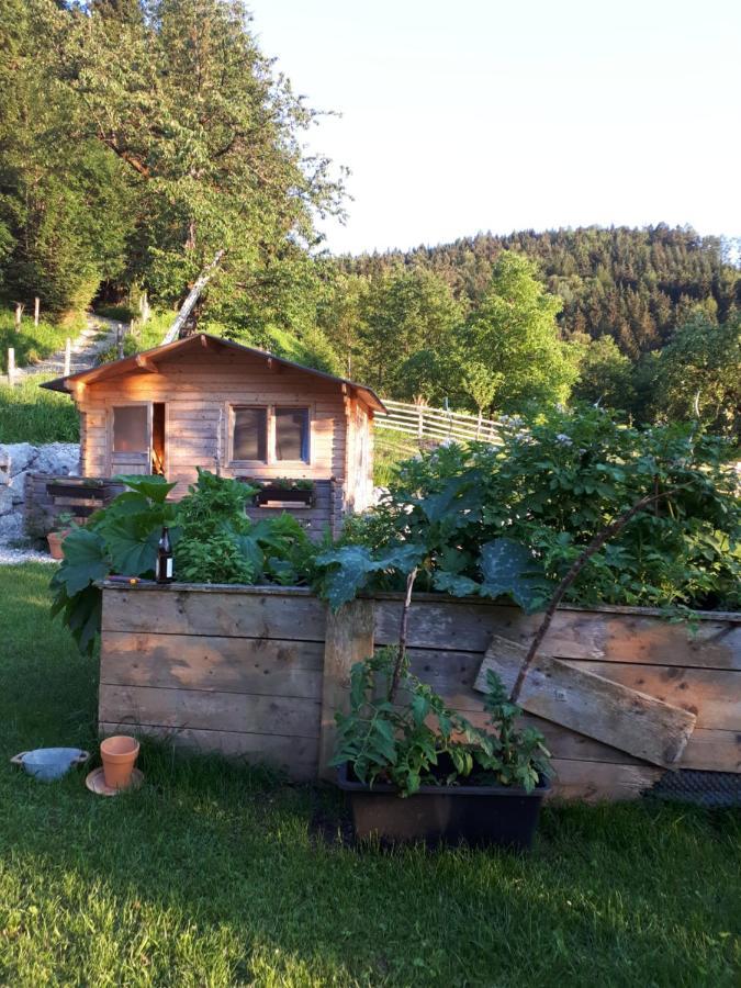 Landhaus Ziegelstadel Windischgarsten Exterior foto